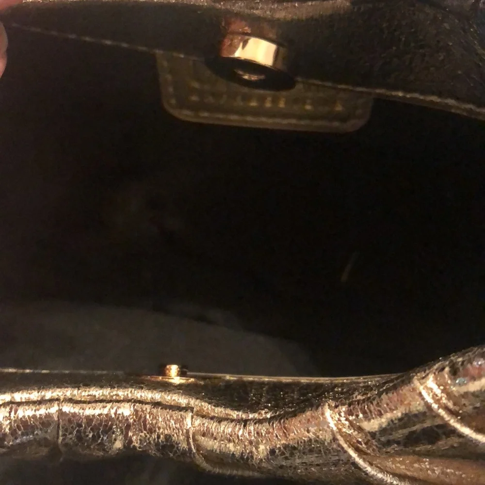 Metallic Gold Handbag Clutch Crossbody Shoulder Evening Bag Urban Expressions